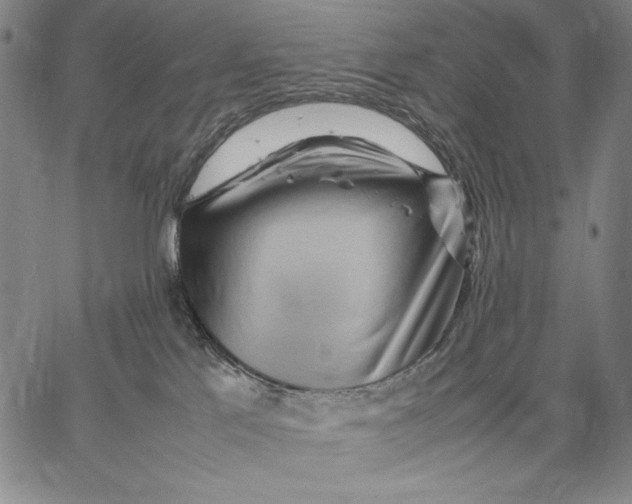 X0000067380041200604211619
