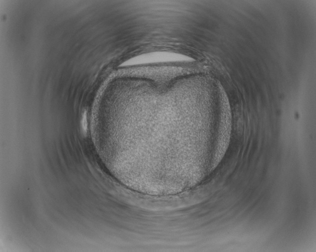 X0000067380042200604211619