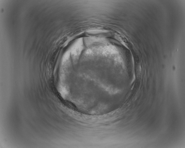 X0000067380043200604211619