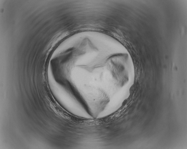 X0000067380050200604211618