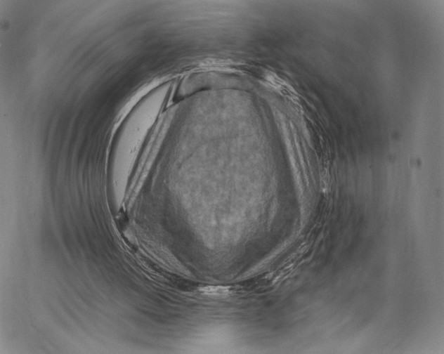 X0000067380052200604211618
