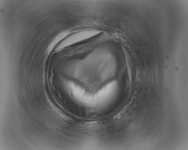 X0000067380054200604211618