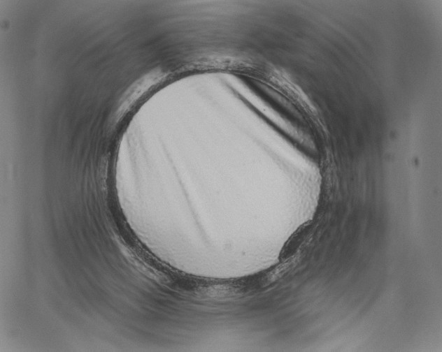 X0000067380058200604211618