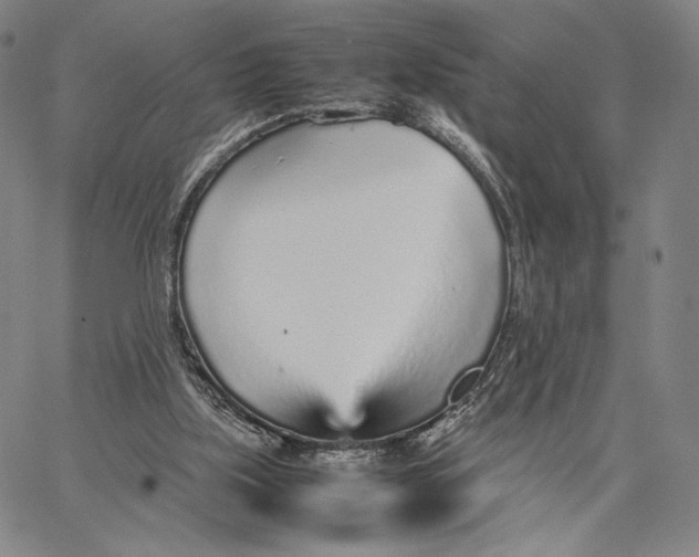 X0000067380059200604211618