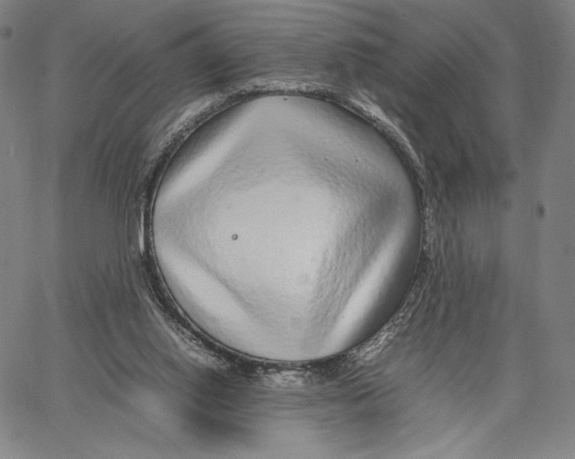 X0000067380062200604211618