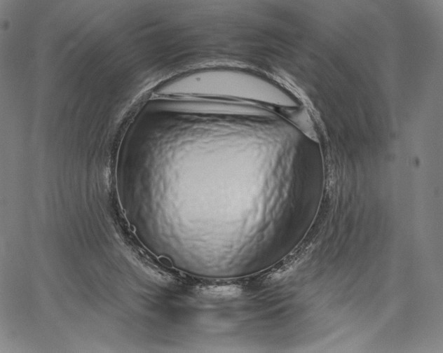 X0000067380063200604211618