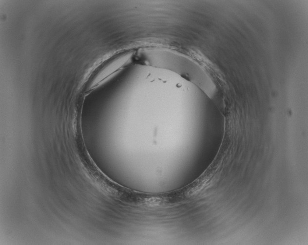 X0000067380064200604211618