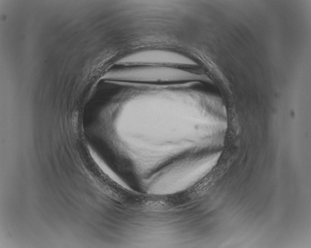 X0000067380066200604211618