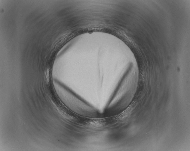 X0000067380070200604211618
