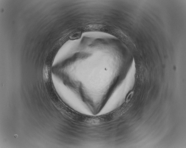 X0000067380075200604211619
