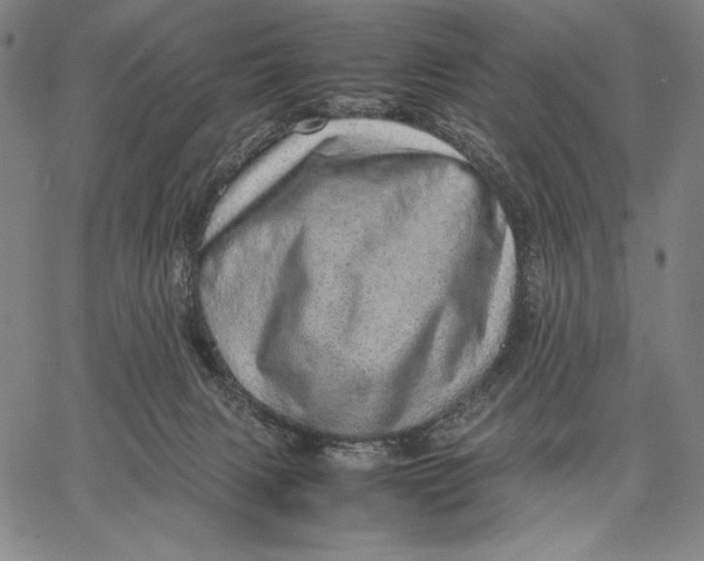 X0000067380079200604211619