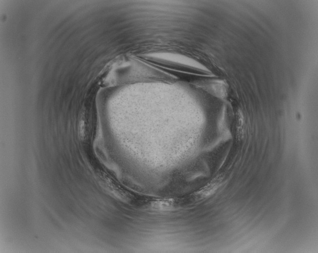 X0000067380080200604211619