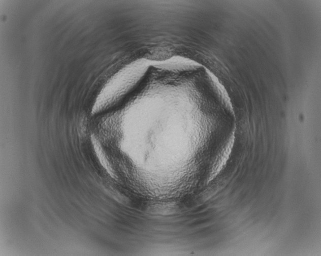 X0000067380081200604211619