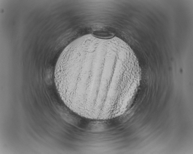 X0000067380082200604211619