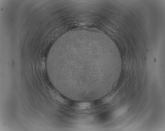 X0000067380085200604211619