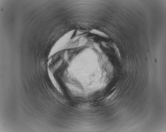 X0000067380086200604211619