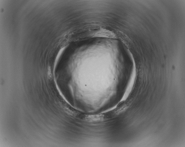 X0000067380089200604211619