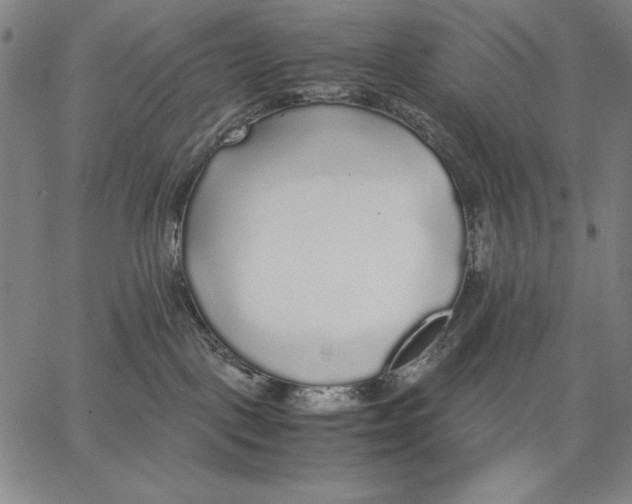 X0000067380093200604211619