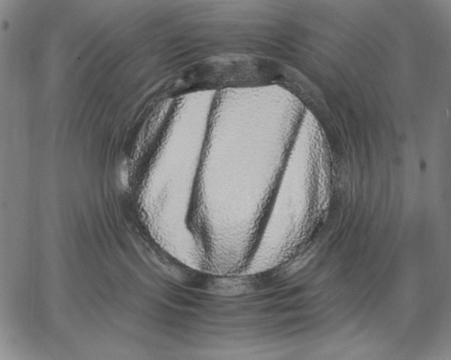 X0000067380095200604211619