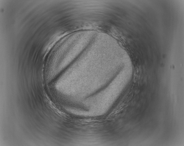 X0000067380098200604211618