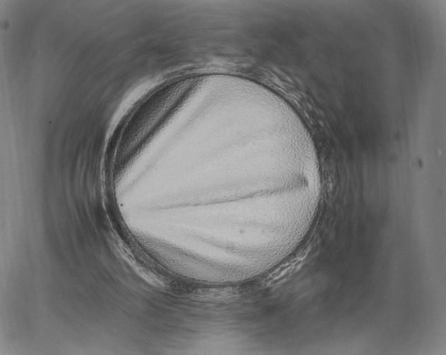 X0000067380102200604211618