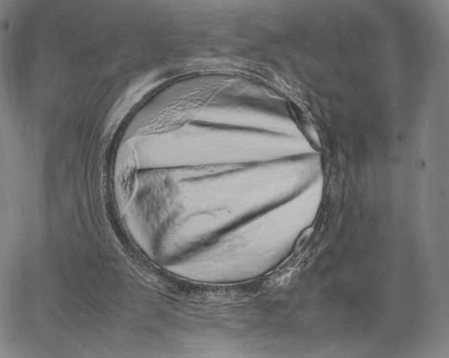 X0000067380103200604211618