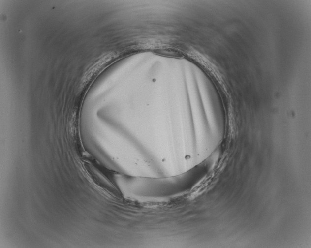 X0000067380105200604211618