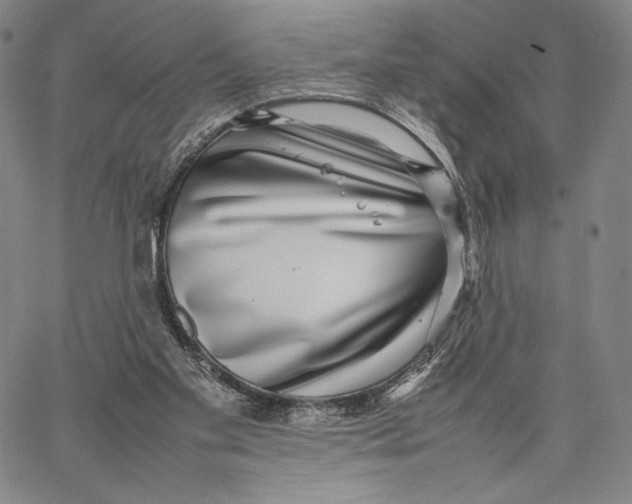 X0000067380109200604211618