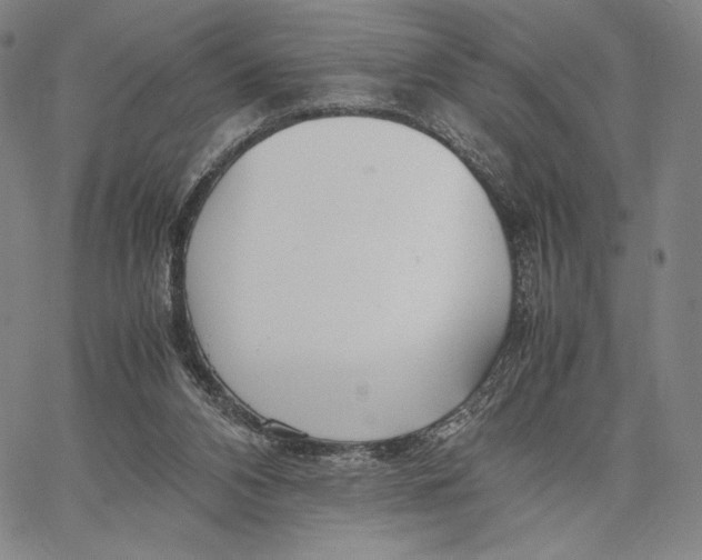 X0000067380112200604211618