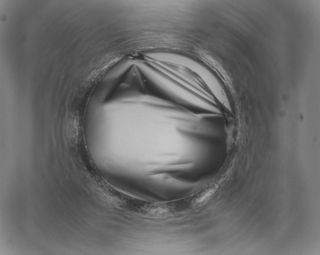 X0000067380113200604211618