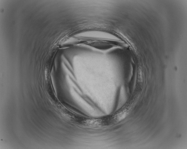 X0000067380117200604211618