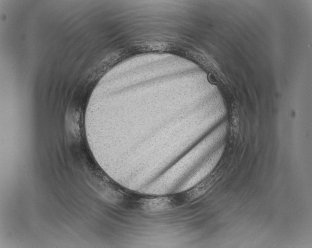 X0000067380122200604211618