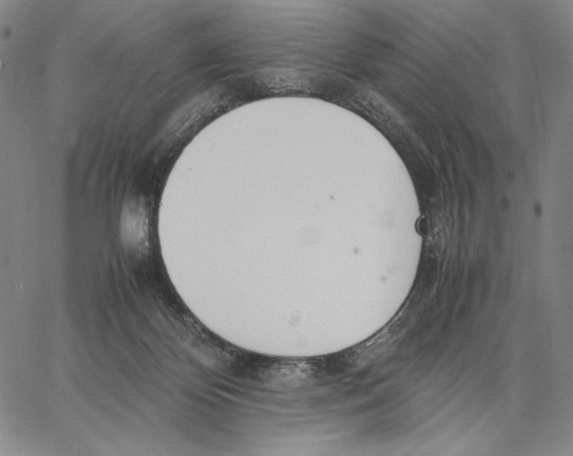 X0000067380124200604211618