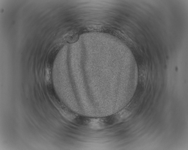 X0000067380130200604211618