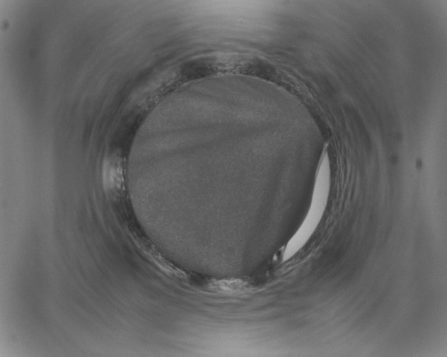 X0000067380137200604211617