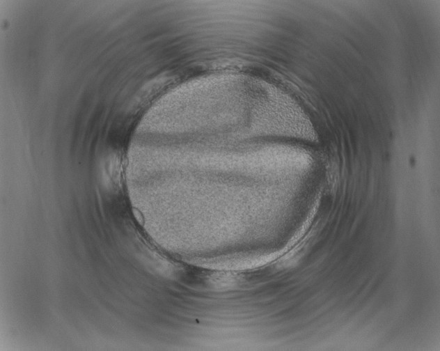 X0000067380142200604211617