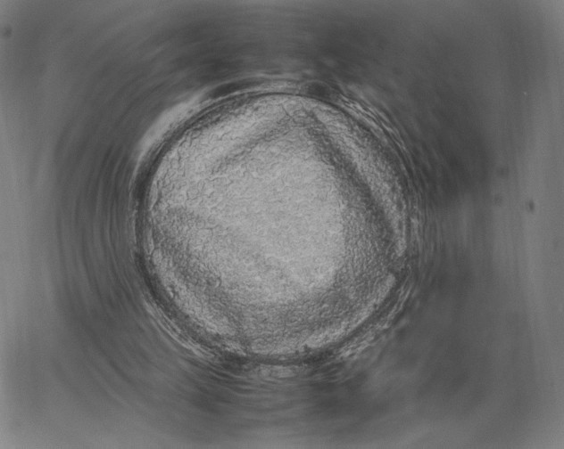 X0000067380149200604211617