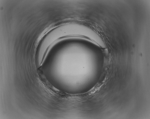 X0000067380150200604211617