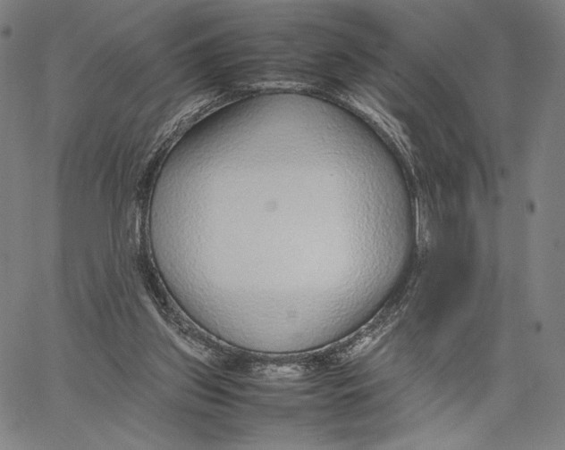 X0000067380157200604211617