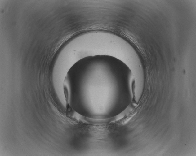 X0000067380164200604211617