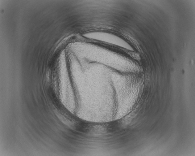 X0000067380166200604211617