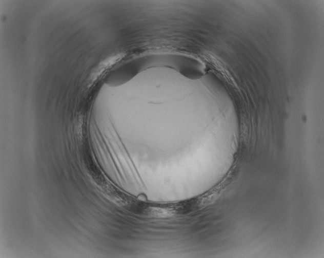 X0000067380167200604211617
