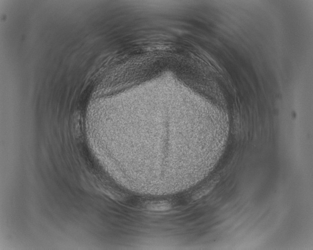 X0000067380169200604211617