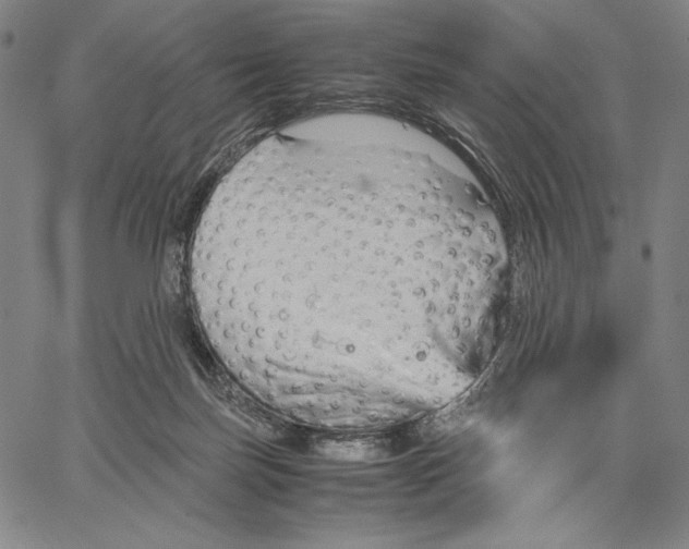 X0000067380171200604211617