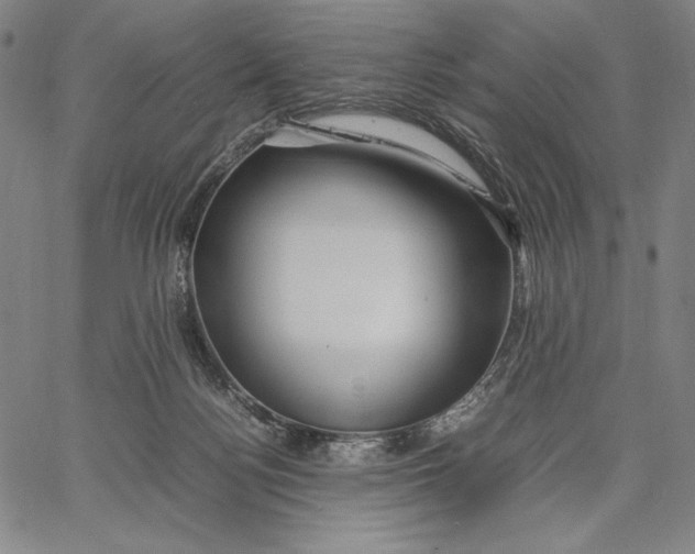 X0000067380172200604211617