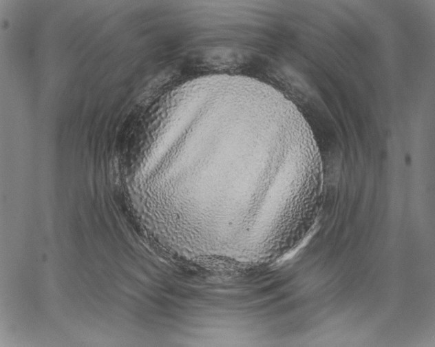 X0000067380182200604211617