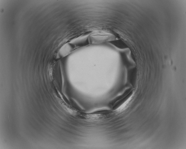 X0000067380192200604211617