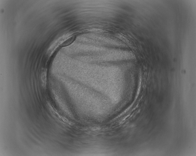X0000067380194200604211616
