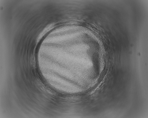 X0000067380198200604211616