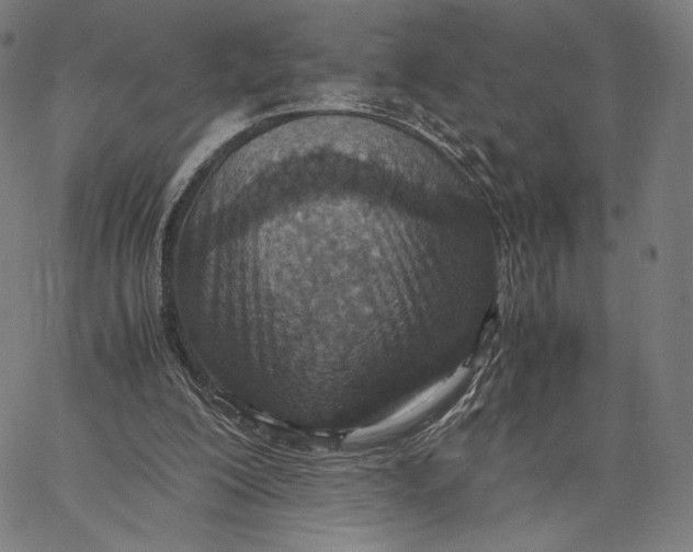 X0000067380200200604211616